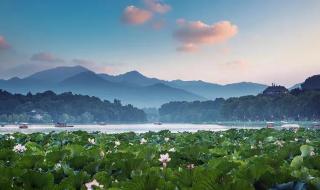 夏至文案短句 夏至文案短句